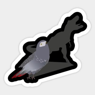 African Grey Parrot T-Rex Dinosaur Shadow and Pet Birds Sticker